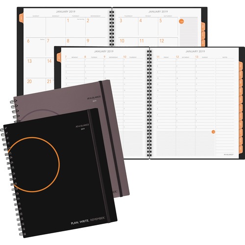 At-A-Glance At-A-Glance Professional Weekly/Monthly Planner