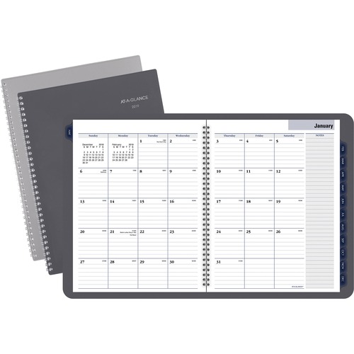 At-A-Glance Traditional Monthly Planner