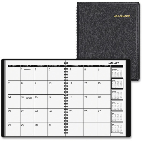 At-A-Glance Classic Monthly Appointment Planner