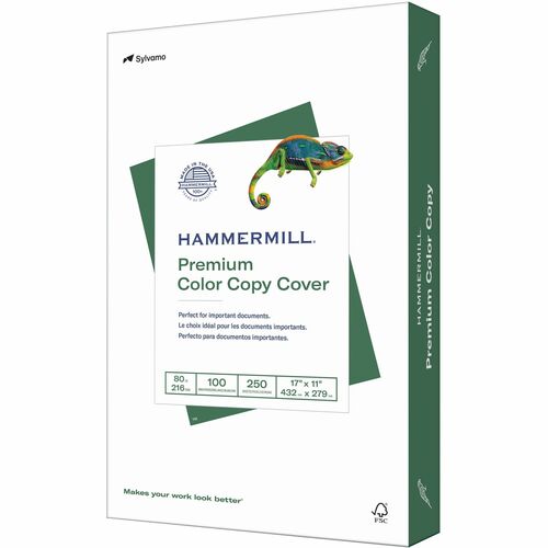 Hammermill Copy & Multipurpose Paper