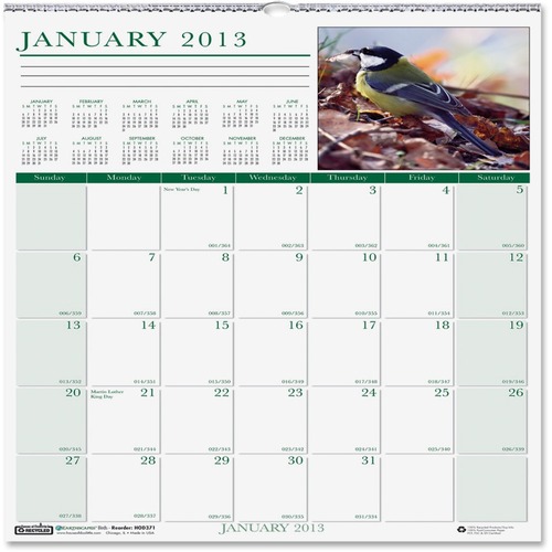 House of Doolittle Earthscapes Birds Wall Calendar