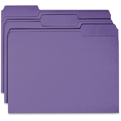 Business Source Business Source Colored File Folder