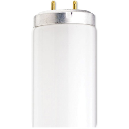 Satco Satco T12 40-watt Fluorescent Light