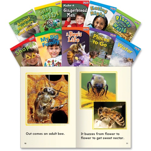 Shell TIME for Kids: Nonfiction English Grade 1 Set 3 Education Printe