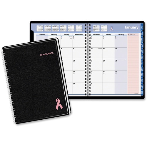 At-A-Glance QuickNotes Breast Cancer Awareness Monthly Planner