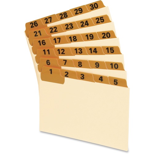 Oxford Oxford Lamianted Index Card Guides