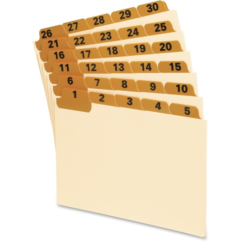 Oxford Oxford Lamianted Index Card Guides