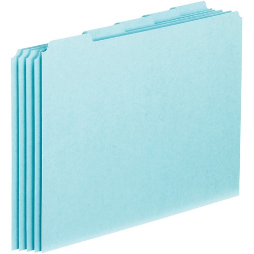 Pendaflex Blank Self Tab Pressboard File Guides
