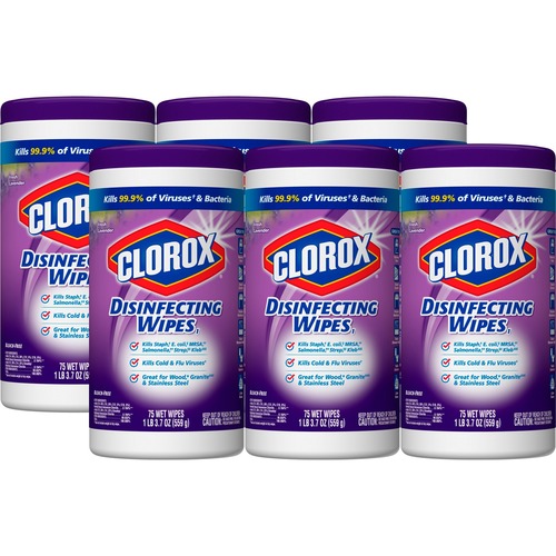 Clorox Clorox Disinfecting Wipes