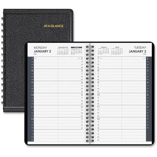 At-A-Glance Classic Daily Appointment Book
