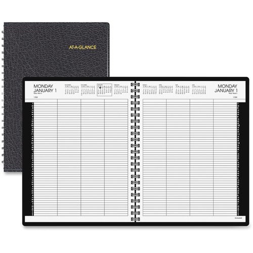 At-A-Glance 8-Person Group Daily Appointment Book