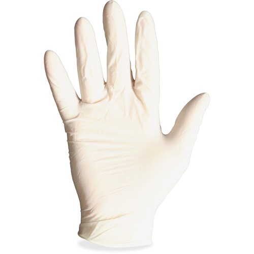 ProGuard Powdered Non-Sterile Latex Exam Gloves
