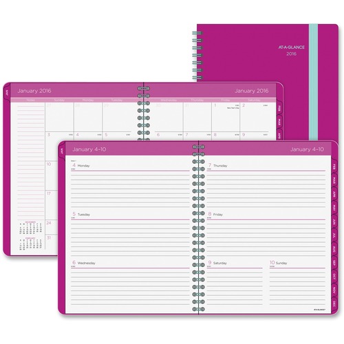 At-A-Glance Color Play Weekly/Monthly Planner - Large