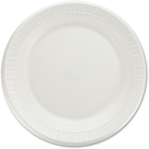 Dart Quiet Classic Laminated Dinnerware Plates