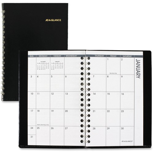 At-A-Glance At-A-Glance Unruled Pocket Monthly Planner