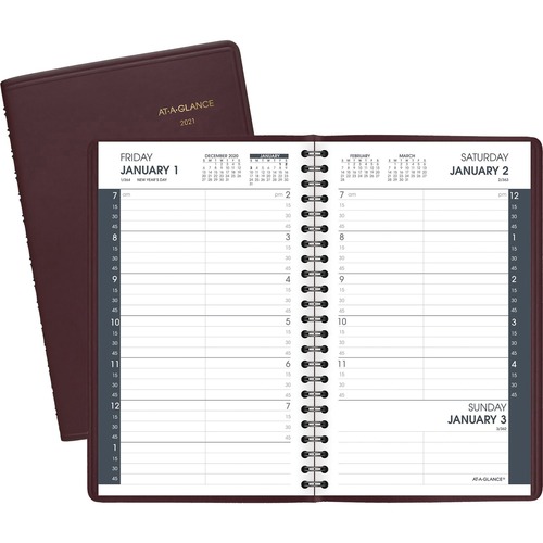At-A-Glance Classic Size Daily Appointment Book