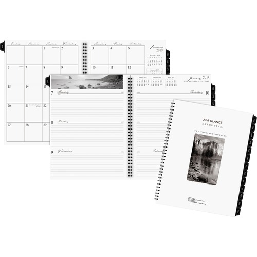 At-A-Glance Executive Professional Weekly and Monthly Planner Refill