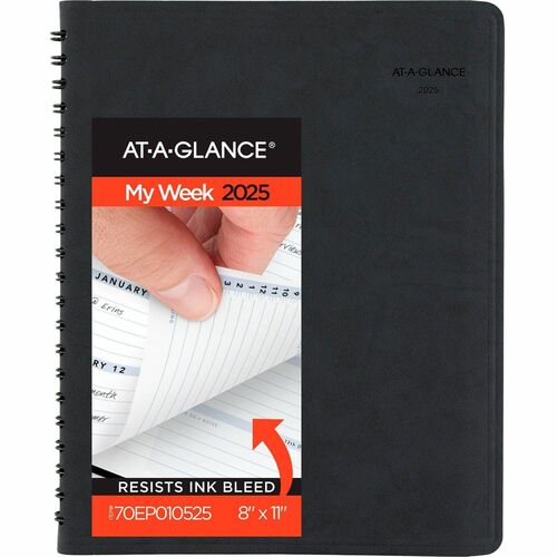 At-A-Glance Action Planner Appointment Book