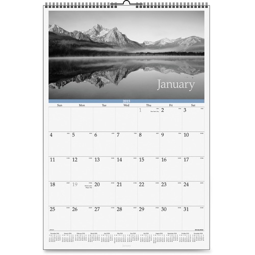 At-A-Glance At-A-Glance Dayminder Black and White Monthly Wall Calendar
