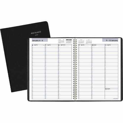 At-A-Glance At-A-Glance Professional Appointment Book