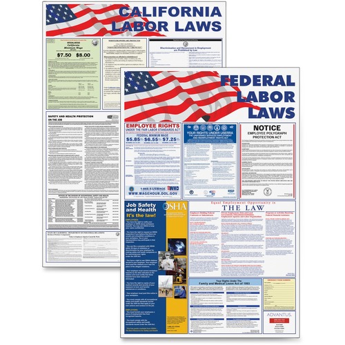 Advantus Federal and State Labor Law Poster