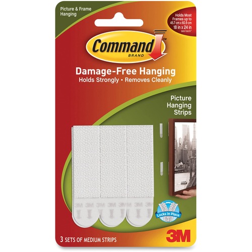 Command Picture Hanging Strip
