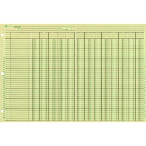 Rediform Rediform National Side Punched Analysis Pad