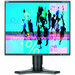 NEC Display MultiSync LCD1990FXp-BK LCD Monitor
