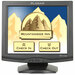 Planar PT1710MX Touchscreen LCD Monitor