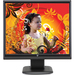 V7 D1711-N6 LCD Monitor