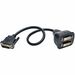 Tripp Lite DVI Dual Link Splitter Cable