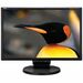 NEC Display MultiSync Business Series LCD195NXM LCD Monitor