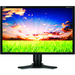 NEC Display MultiSync P221W Widescreen LCD Monitor