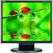 17in Lcd 1280x1024 1000:1 Lcd175m-Bk Vga Black 5ms Spkr