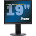 iiyama ProLite B1906S B1 483 cm 19quot LCD Monitor