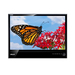 ASUS MS236H 584 cm 23quot LCD Monitor