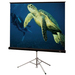 Draper Diplomat Projection Screen