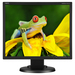 19in Lcd Monitor 1280x1024 Vga/ DVI-D Spkr Blk Cabinet 3yr Warr / Mfr. no.: EA192M-BK
