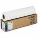 Epson 17" X 50ft Singleweight Matte Paper
