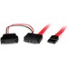 StarTech.com 0.5m Slimline SATA Female to SATA with SATA Power Cable Adapter - SATA for Optical Drive