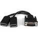 StarTech.com 8in LFH 59 Male to Dual Female DisplayPort DMS 59 Cable - 1 x DMS-59 Male Video