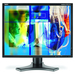 NEC MultiSync LCD2190UXi-BK LCD Monitor