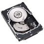 Seagate Technology - ST3146855FC - Seagate Cheetah 15K.5 Hard Drive
