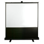 Acer, Inc - JZ.J7400.001 - Acer F80-S01 Tripod Projection Screen