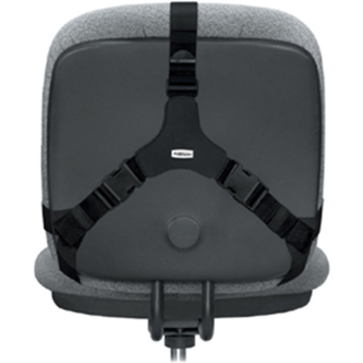 Fellowes Professional Series Back Support