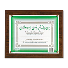 NUD 18813M NuDell Award-A-Plaques  NUD18813M