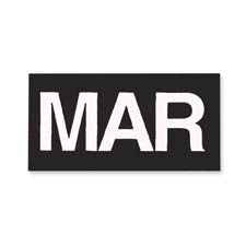 Magnetic Month Indicators, 1