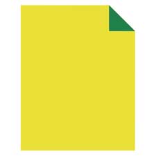 PAC 5439-1 Pacon Tandem Tones Yellow/Green Poster Board PAC54391