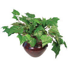 Mixed Green Plants