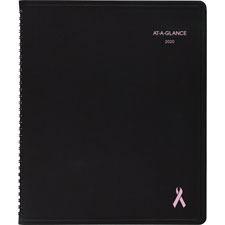AAG 76-PN01-05 At-A-Glance QuickNotes BCA Special Ed. Appt. Book AAG76PN0105